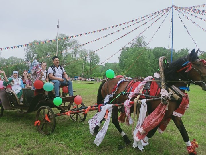 Сабан туе-2024:  хезмәт һәм сабан бәйрәме энергиягә баетты һәм кәефне күтәрде