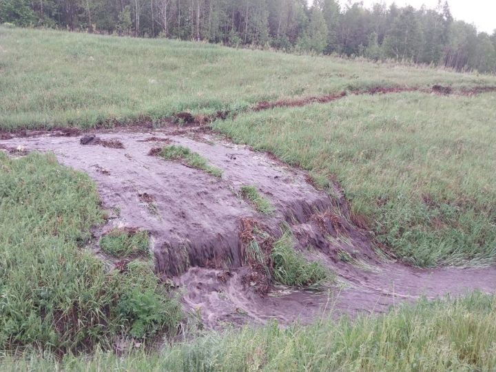 Обильный ливень затопил село в Татарстане