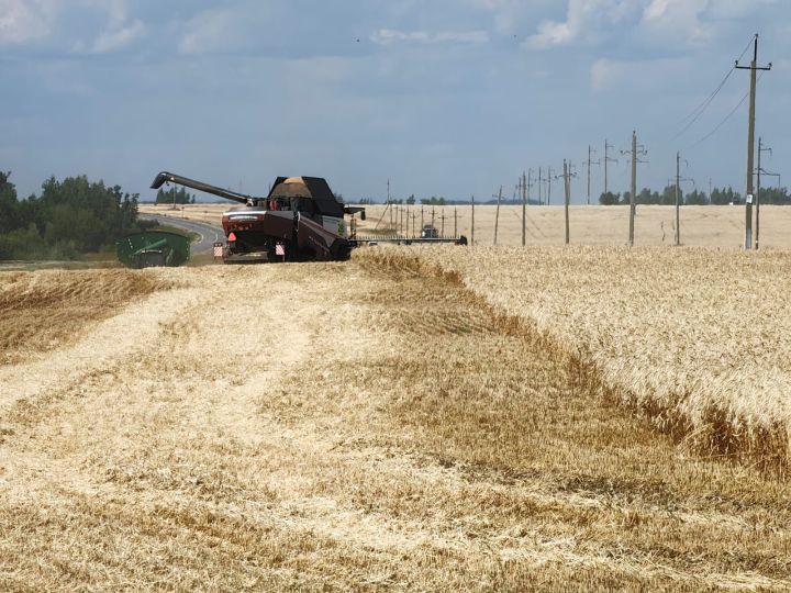 Тройка лидеров в Камском Устье держится прочно