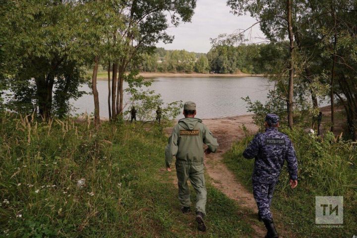 Оформлены границ охотничьих угодий Татарстана: важные шаги для развития охоты и охраны природы