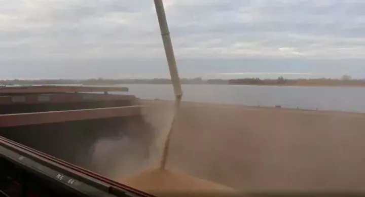 Из Камско-Устьинского района отправили 5,1 тыс. тонн кормового ячменя в Иран