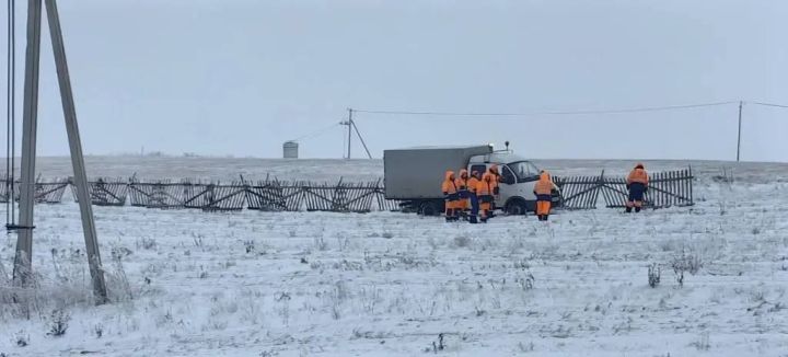 Первый снег – первый зимние заботы