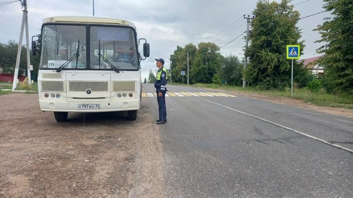 Операция «Тоннель»: итоги проверки на дороге