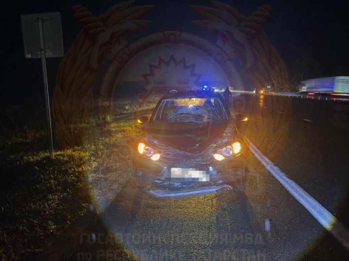 В Татарстане пешеход погиб под колесами легковушки