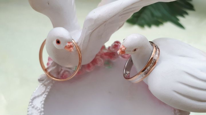 В Казани поощряют супружеские пары за долгую семейную жизнь