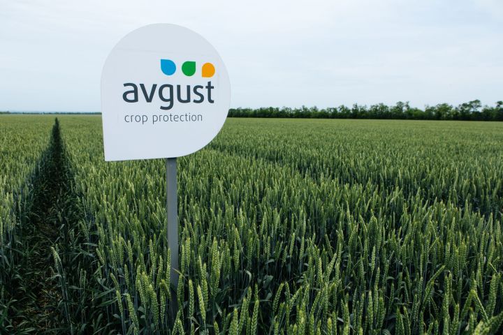 Компания «Август» подвела итоги работы на рынке средств защиты растений в 2025 году