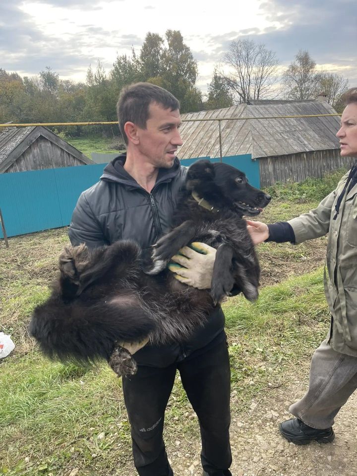 Наталья Яранова: там был настоящий зооконцлагерь