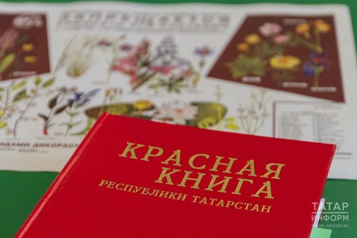 Историческое событие в сфере охраны природы Татарстана