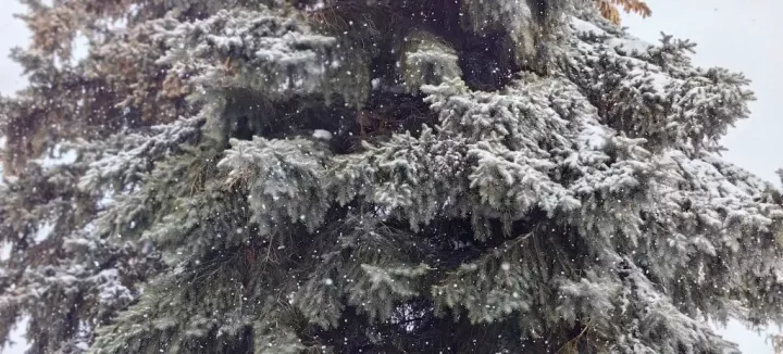 Мело весь месяц в феврале