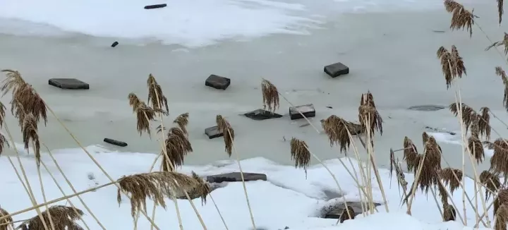 Дорожка вокруг Школьного озера становится все уже