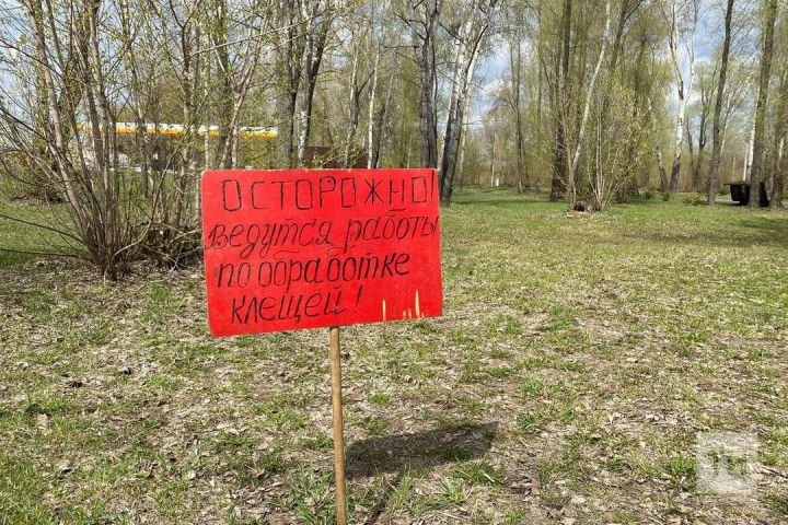 Татарстан в списке опасных регионов, где можно заразиться смертельной болезнью от укуса клеща
