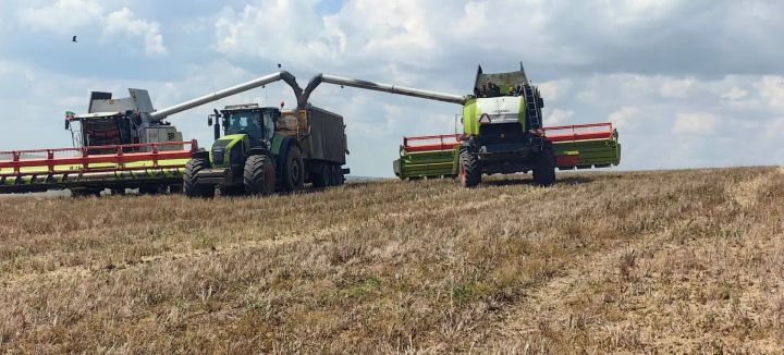 В Камско-Устьинском районе дан старт уборочной кампании 2026 года