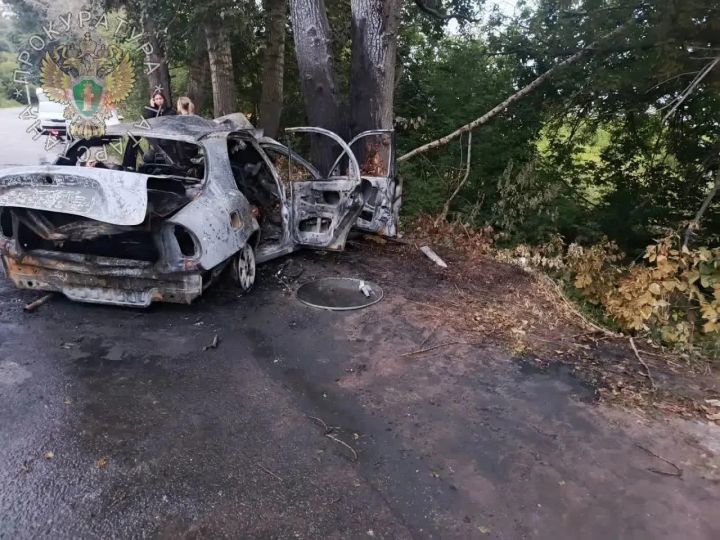В страшном ДТП в Татарстане сгорели шесть подростков